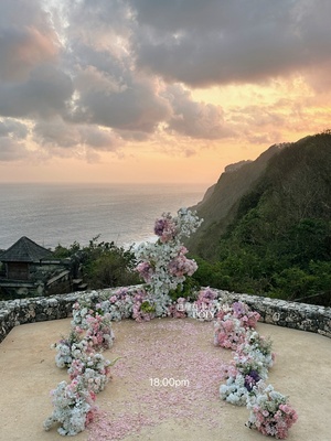 阿丽拉悬崖求婚·粉色